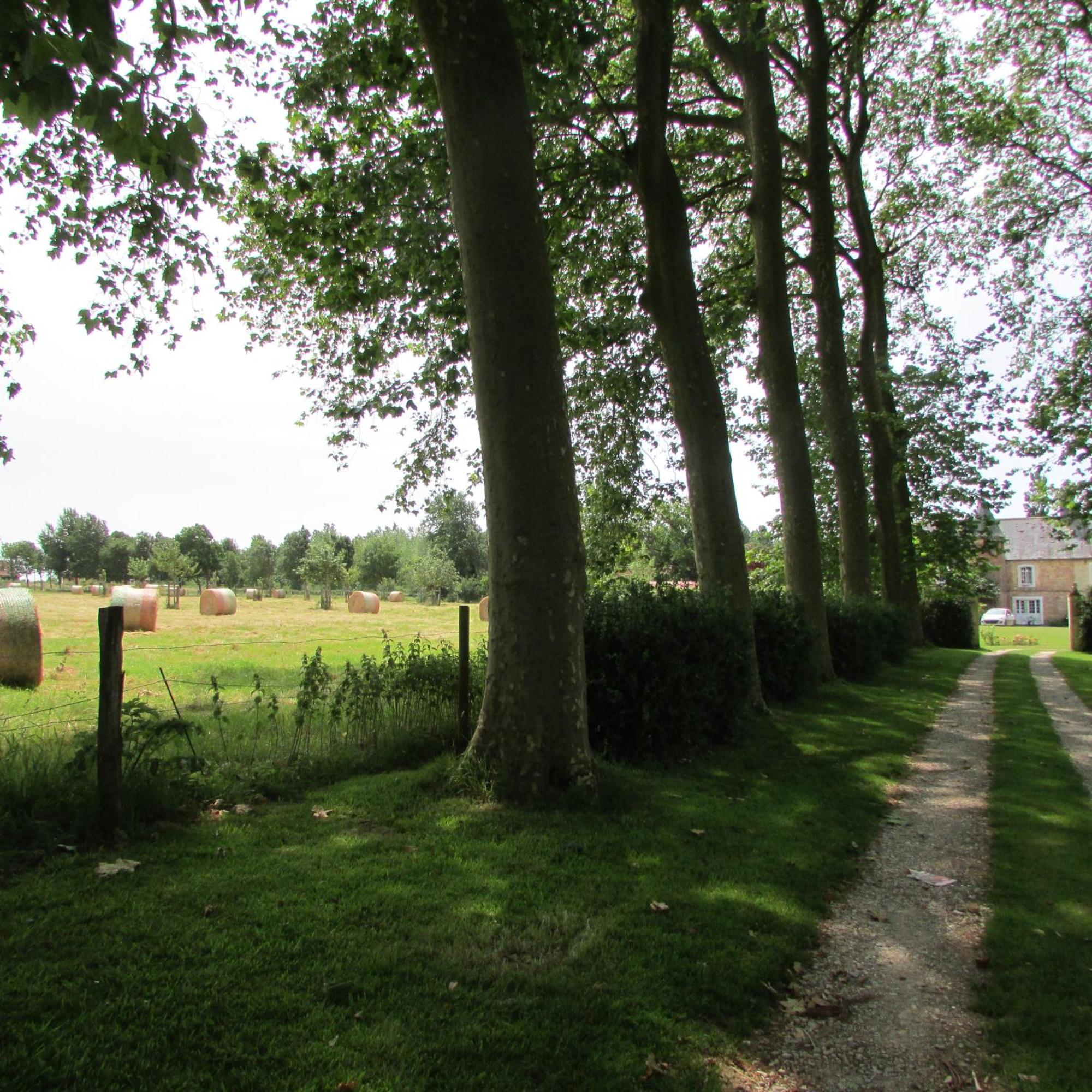 Gite Manoir Les Camps Greslins Questrecques Exteriér fotografie
